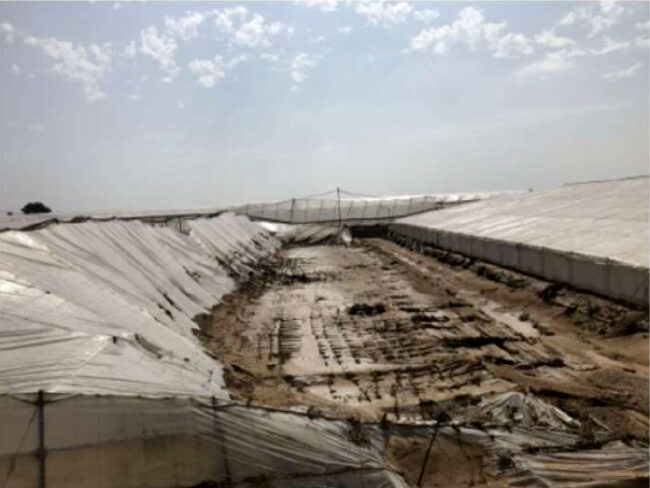 Estructura de un invernadero colapsado tras el paso de la DANA en Almería, España
