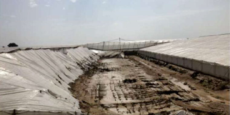 Invernadero destruido por DANA en Almería Estructura de un invernadero colapsado tras el paso de la DANA en Almería, España