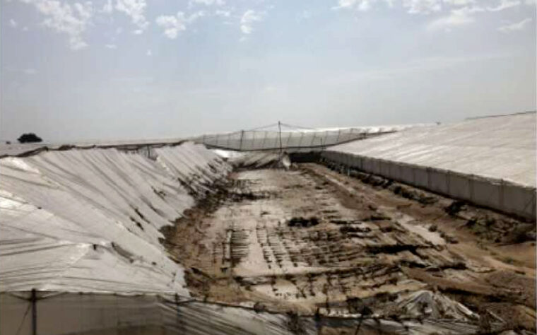 Invernadero destruido por DANA en Almería Estructura de un invernadero colapsado tras el paso de la DANA en Almería, España