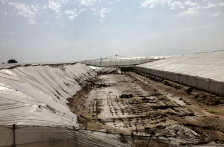 Estructura de un invernadero colapsado tras el paso de la DANA en Almería, España
