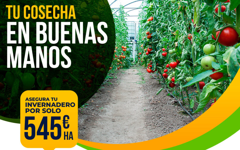 seguroinvernaderoalmeria2