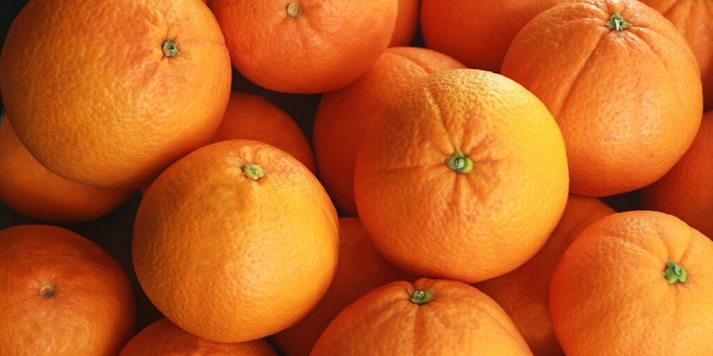 CITRICOS_03