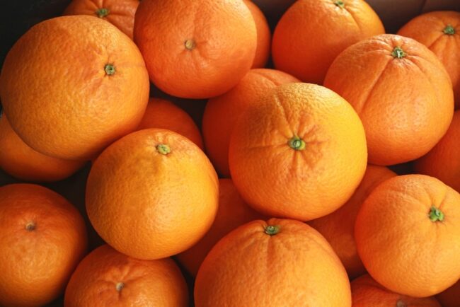 CITRICOS_03