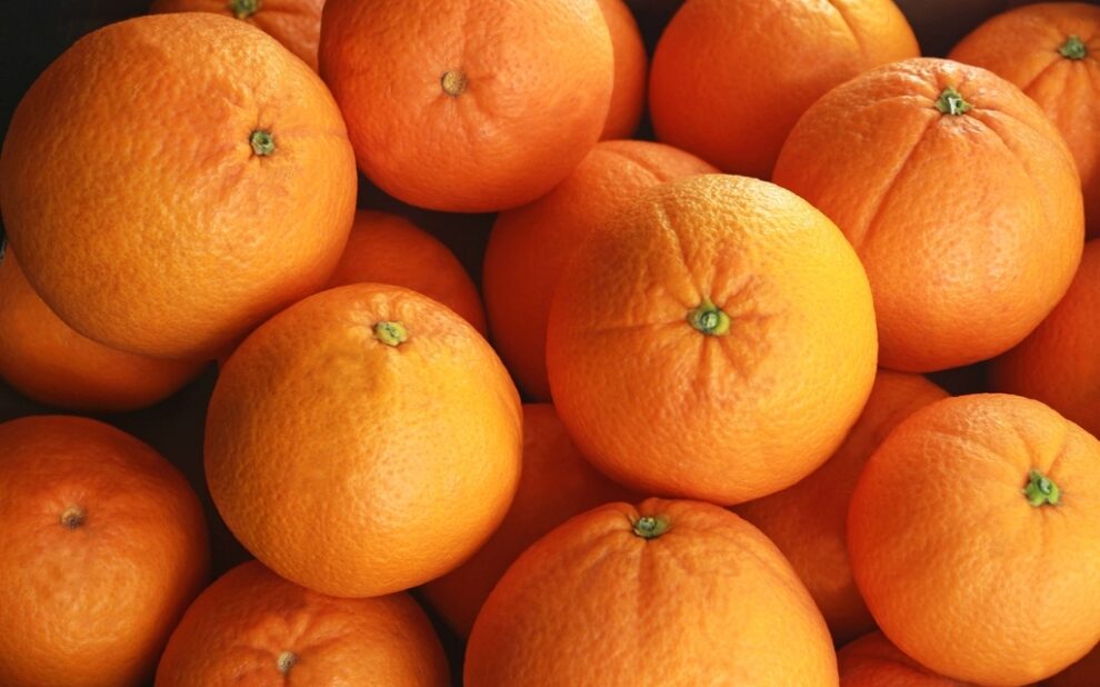 CITRICOS_03