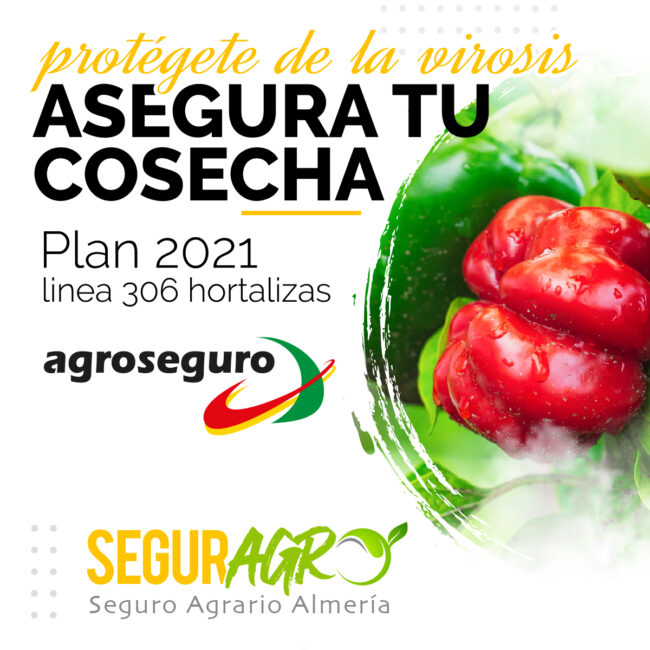 agroseguro 2021 Agroseguro hortalizas 2021