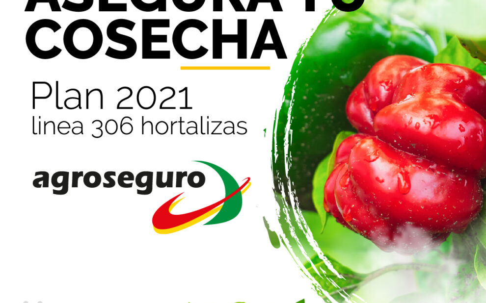 agroseguro 2021 Agroseguro hortalizas 2021