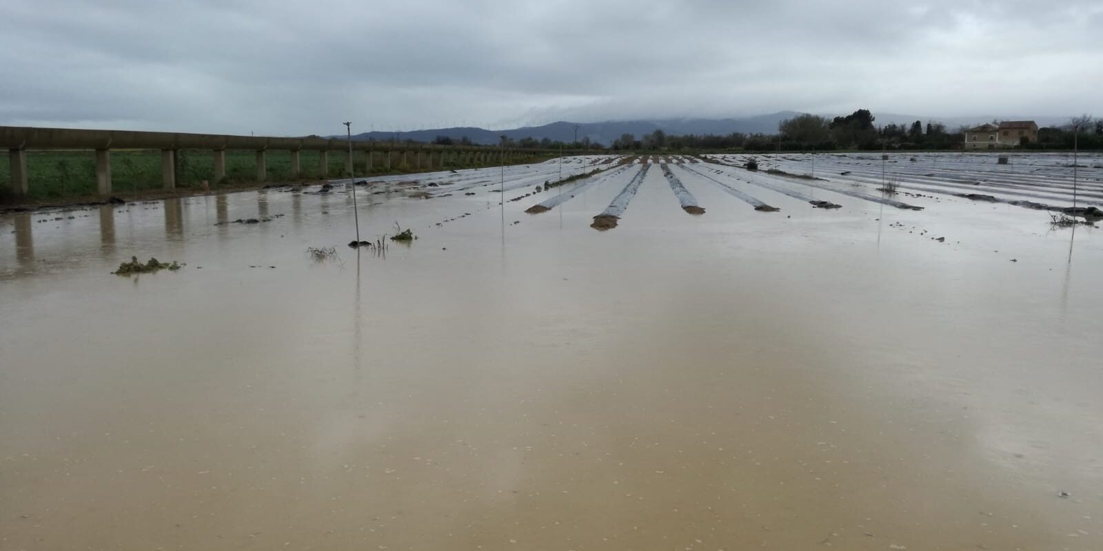 Inundacion__desbordamiento_del_Ebro_3_03