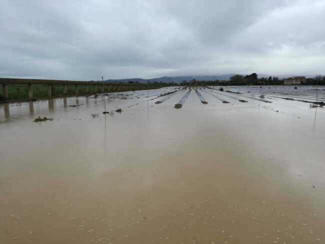 Inundacion__desbordamiento_del_Ebro_3_03