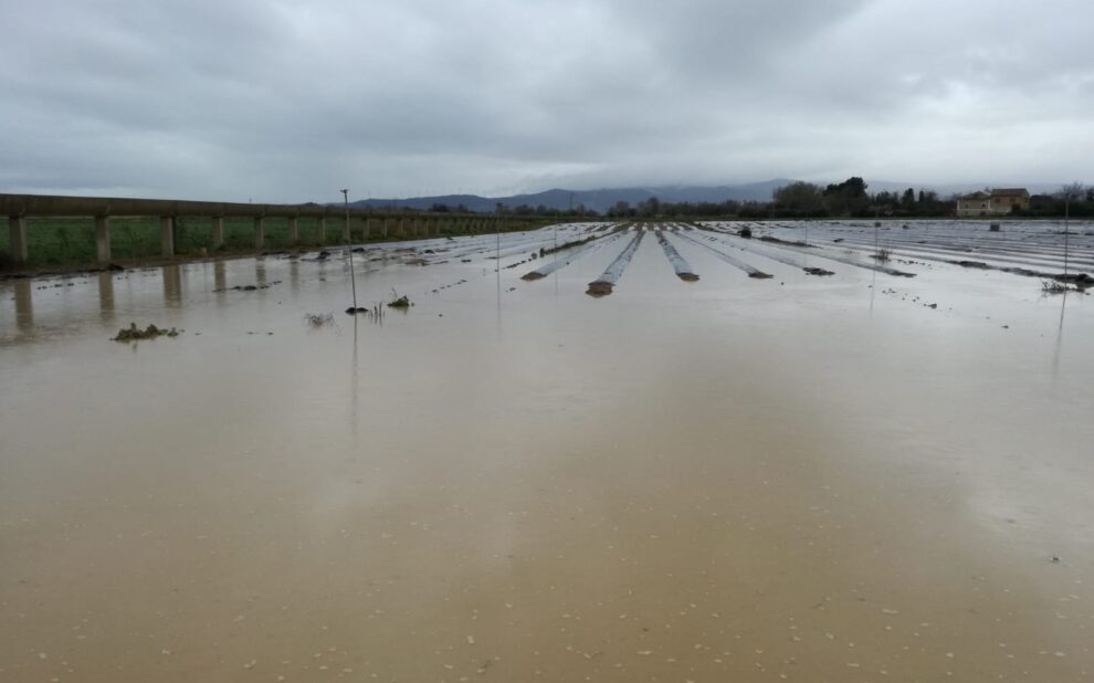 Inundacion__desbordamiento_del_Ebro_3_03