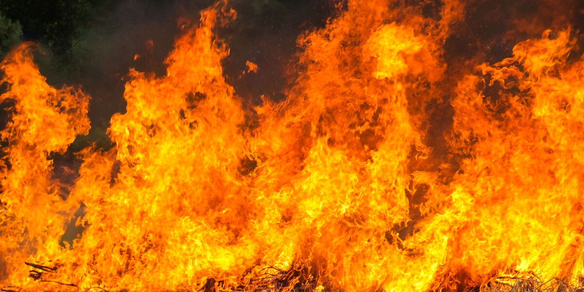 incendio-invernadero