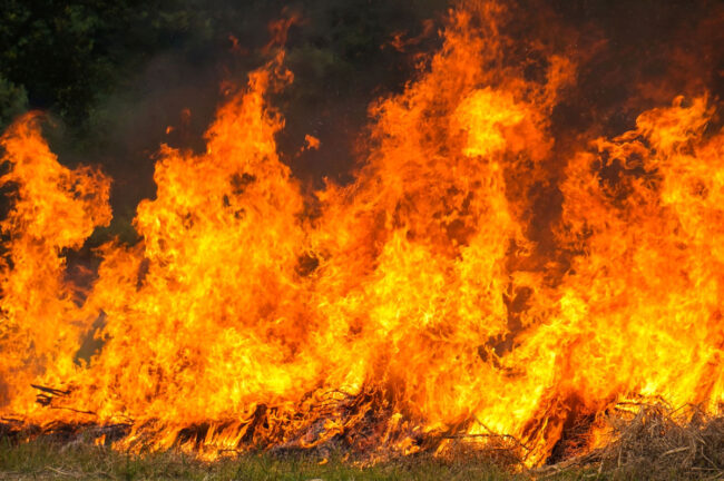 incendio-invernadero