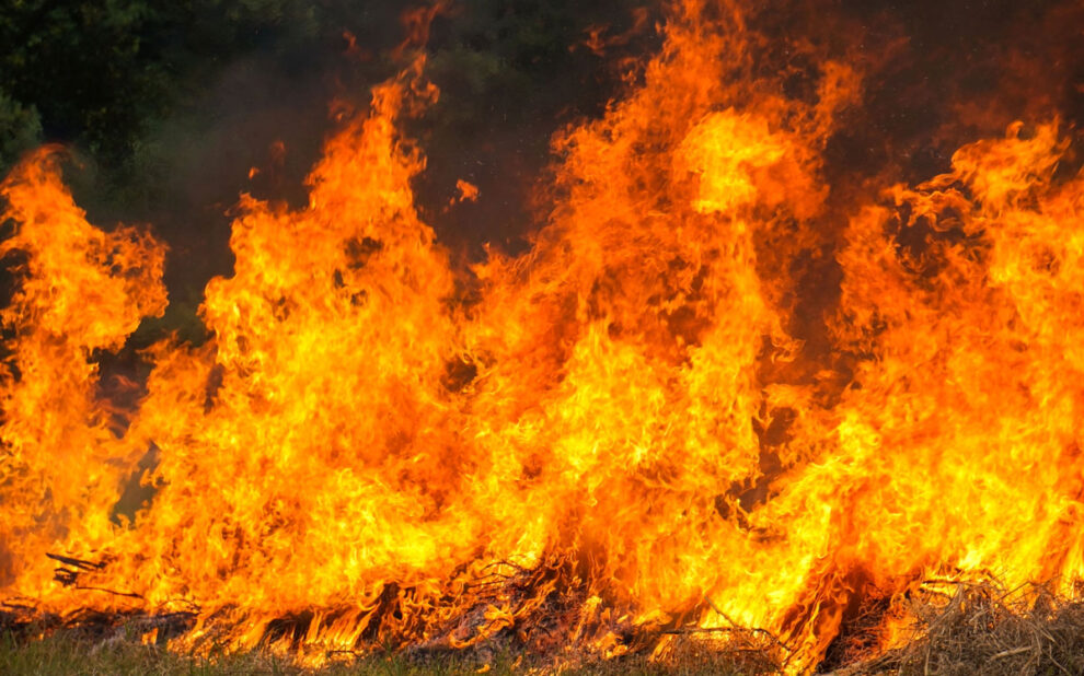 incendio-invernadero