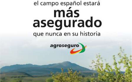Infografia-contratacion1