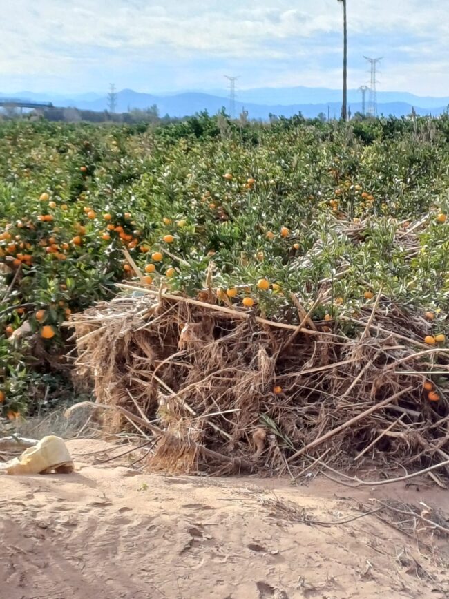 Siniestros-por-DANA.-Valencia-16
